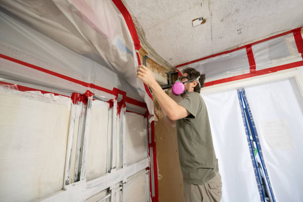 Mold Documentation for Insurance Claims in Salina, OK